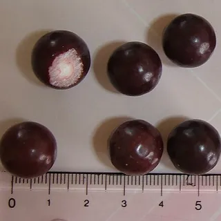 Aniseed ball