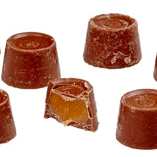 Rolo
